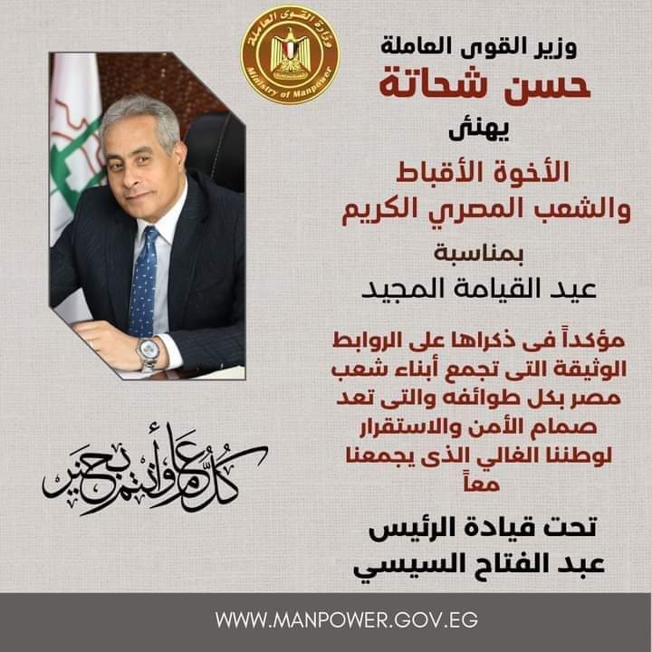 وزير القوى العامله 